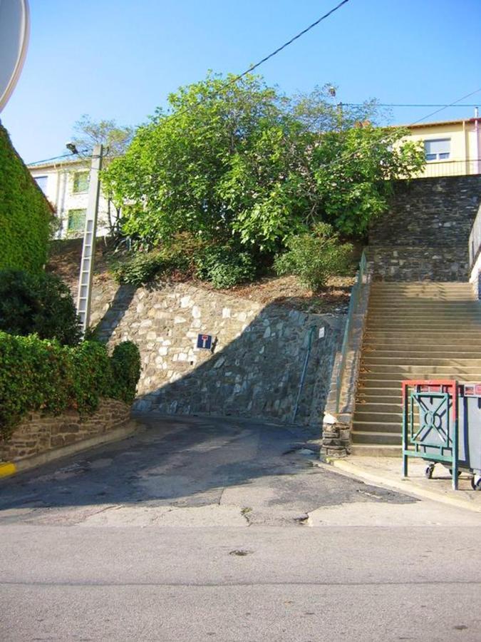 Appartement Avec Vue Sur Mer A Port Vendres 60 M² Balcons Exteriér fotografie